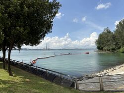 Blk 448B Punggol Point Cove (Punggol), HDB 5 Rooms #586528671